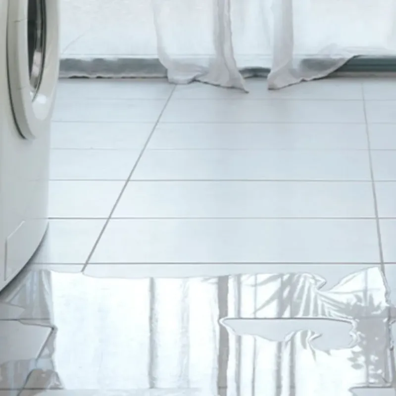 Appliance Leak Cleanup in Bay City, TX