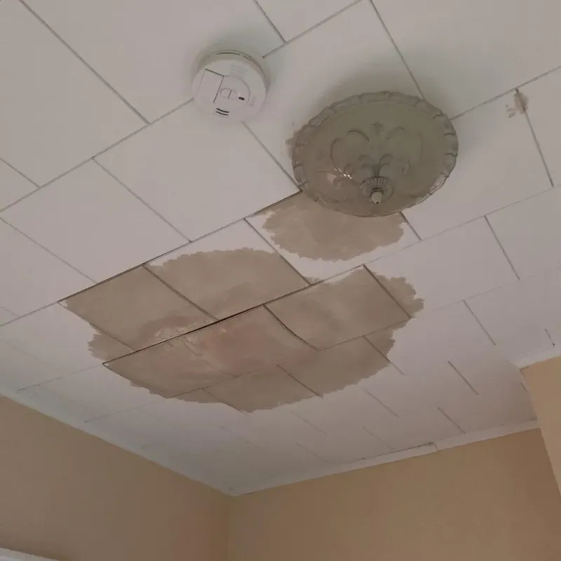 Ceiling Water Damage Repair in Bay City, TX
