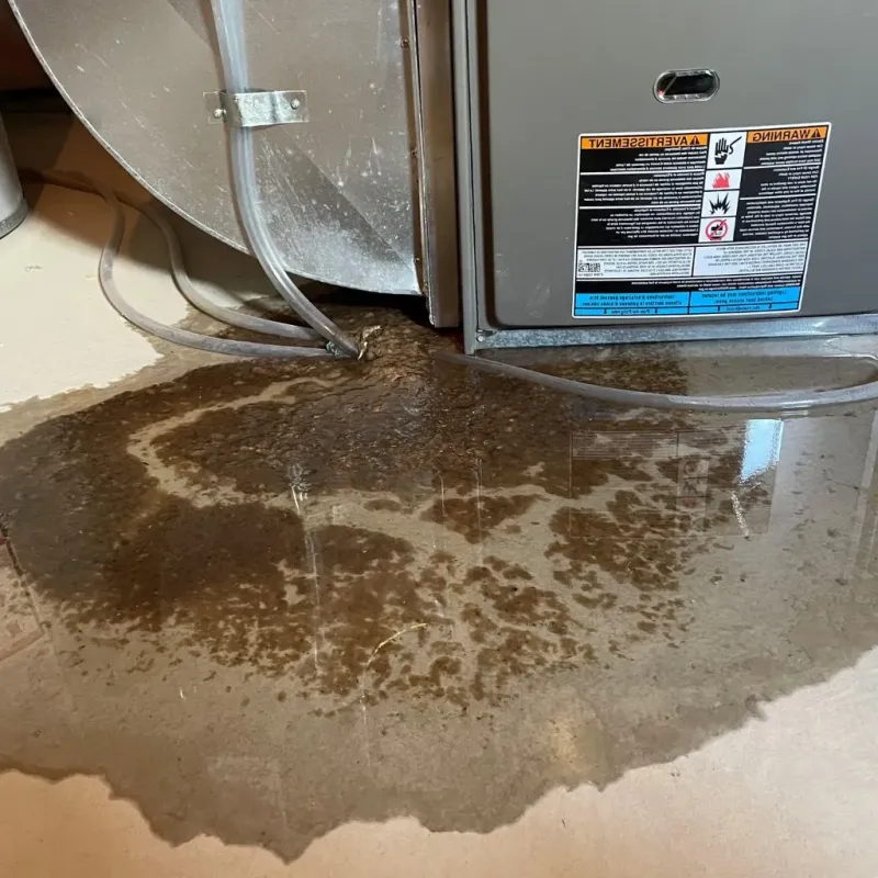 Pipe Burst and Leak Restoration in Bay City, TX