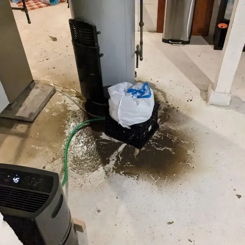 Sewage Backup Cleanup Service in Bay City, TX